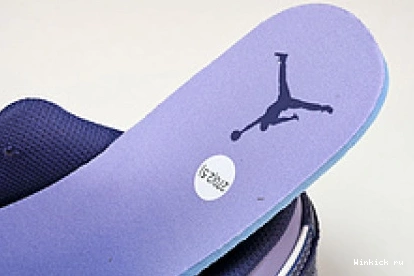 1 Purple “Covered Jordan Tones” Low 1030